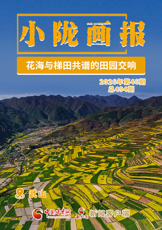 【小隴畫(huà)報(bào)·494期】武山：花海與梯田共譜的田園交響