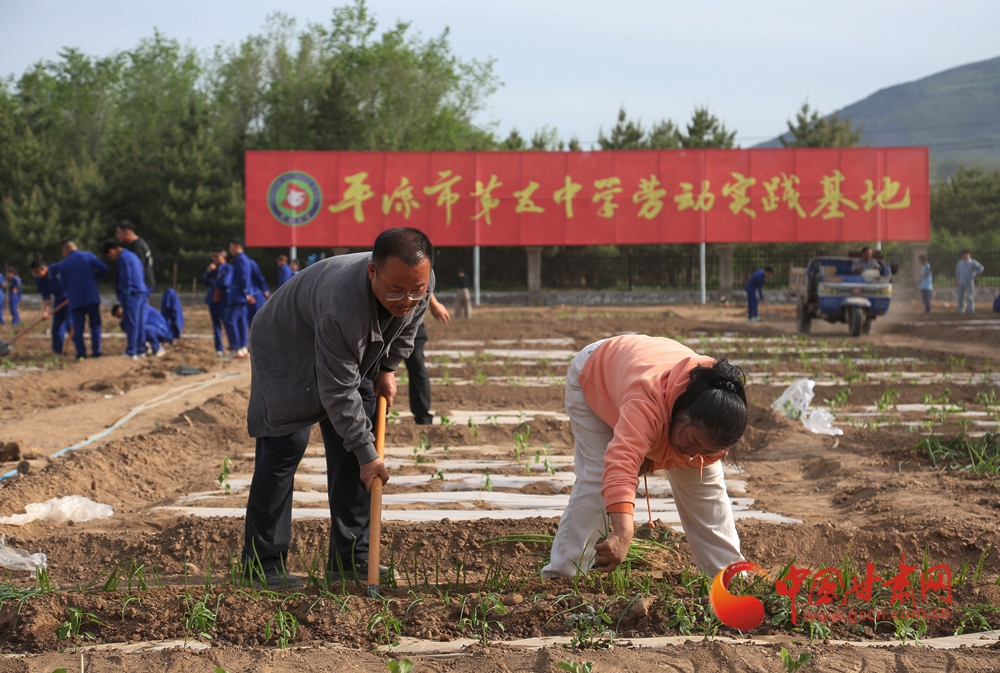 平?jīng)鰩熒骸靶@農(nóng)場(chǎng)”體驗(yàn)勞動(dòng)快樂(lè)